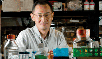 Image: 2012 Nobel laureate Prof. Shinya Yamanaka in his laboratory (Photo courtesy of the Nobel Foundation).